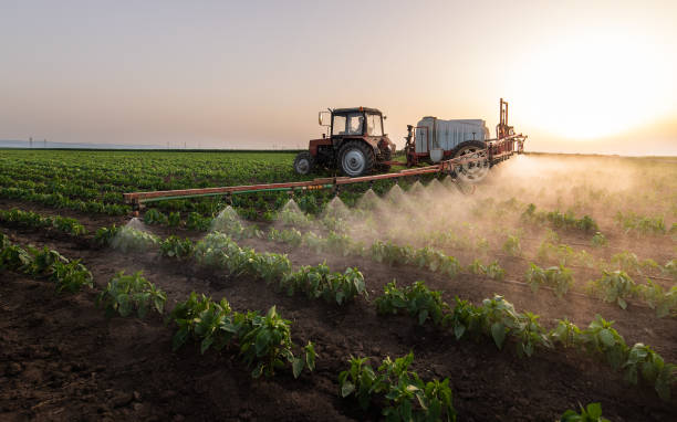 Best Pest Prevention Services  in Arcadia, WI