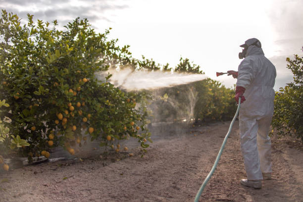 Best Affordable Pest Control Services  in Arcadia, WI