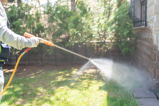Best Best Pest Control Companies  in Arcadia, WI