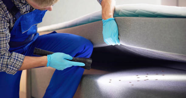 Best Flea Control Services  in Arcadia, WI