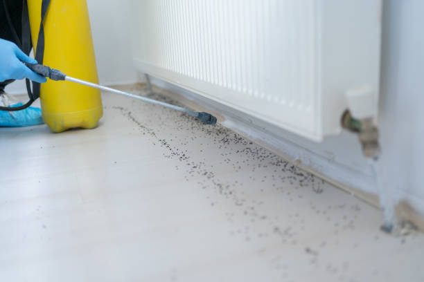 Best Pest Removal Services  in Arcadia, WI