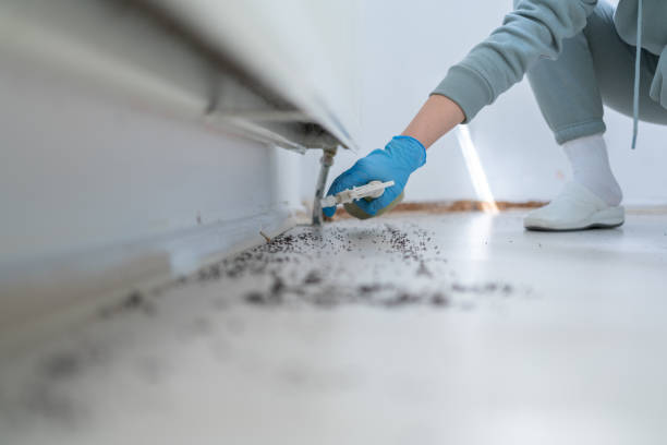 Pest Prevention Services in Arcadia, WI
