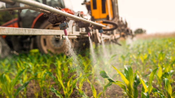 Reliable Arcadia, WI Pest Control Solutions