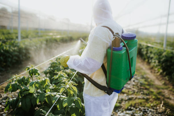 Best Pest Prevention Services  in Arcadia, WI